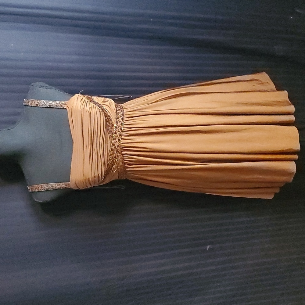 Cache Vintage Dress Size 2 - image 1